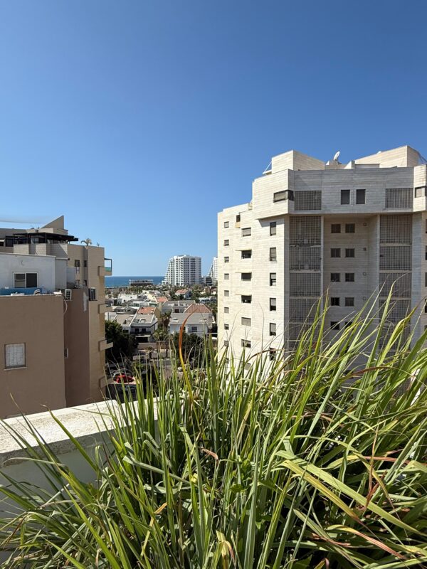 ⁦יחידת גג 2 חדרים, רחוב זלמן שז"ר, ראשון לציון⁩ – תמונה ⁦2⁩
